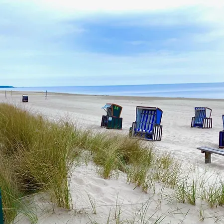 Waldidylle Genießen, Gemütliche Finnhütte Nur Wenige Schritte Vom Strand, Moritz