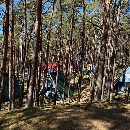 Waldidylle Geniessen, Gemuetliche Finnhuette Nur Wenige Schritte Vom Strand, Moritz Holiday home Trassenheide